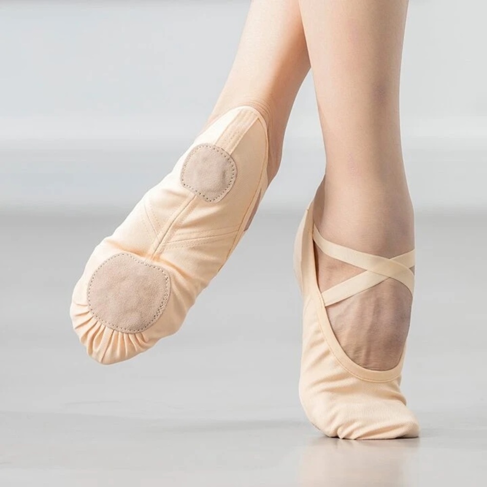 Professional Pink Ballet Dance Shoes